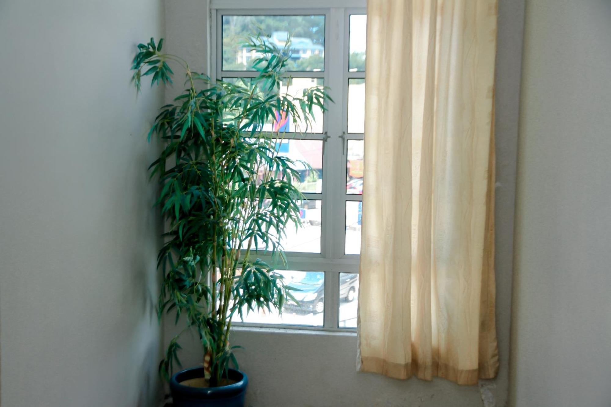 Hotel D View Mersing Exterior foto